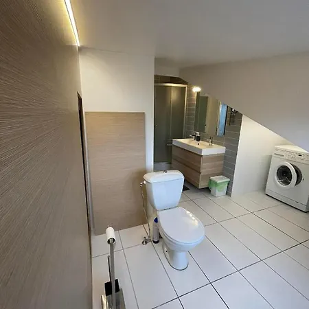 Senamiescio Palepe Apartment *